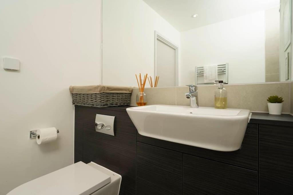 Luxury 2 Bed 2 Bath Cntrl Londra